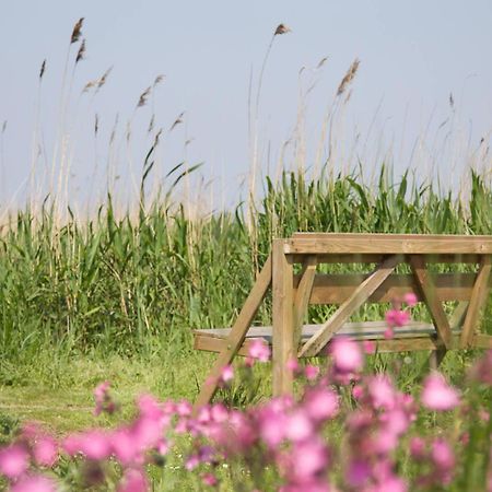 De Tijnjehoeve Boornzwaag over de Wielen Buitenkant foto