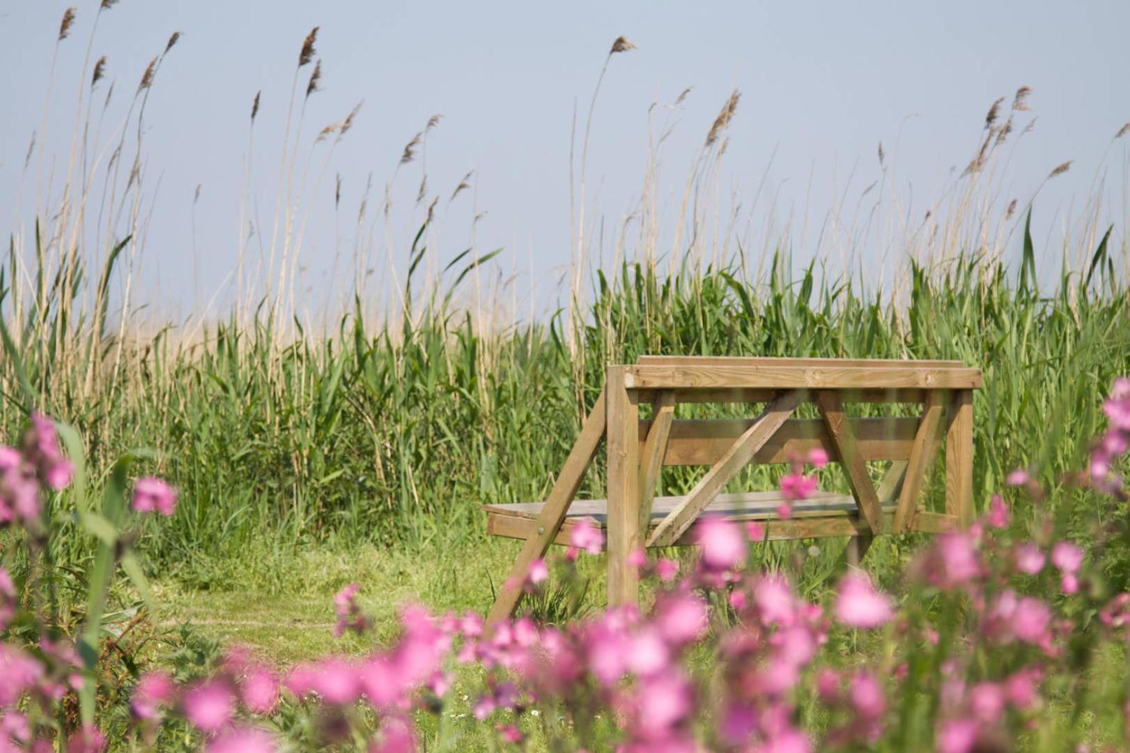 De Tijnjehoeve Boornzwaag over de Wielen Buitenkant foto